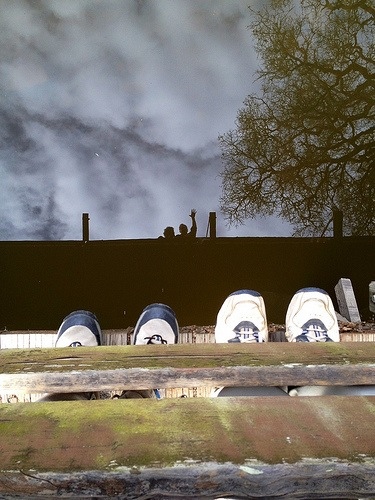 Photo by Maggie Begley