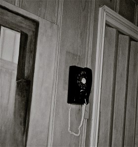 Photo by Maggie Begley